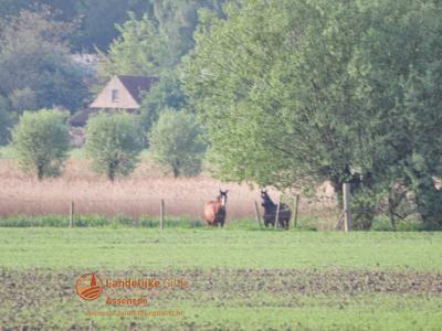 Dauwtip met ontbijt_0077