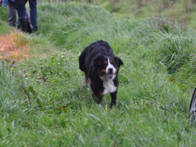 Dauwtrip met ontbijt_0040