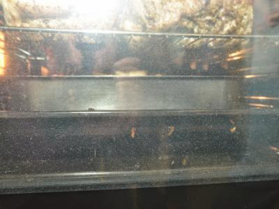 Kookles 2_0066