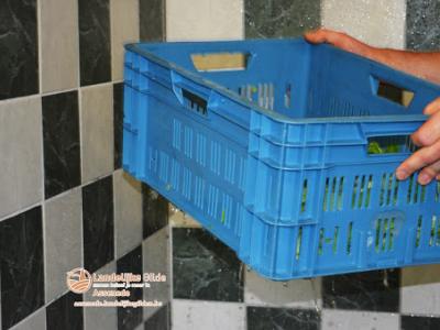 fotoDSC_1413