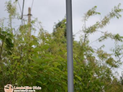 fotoDSC_1445