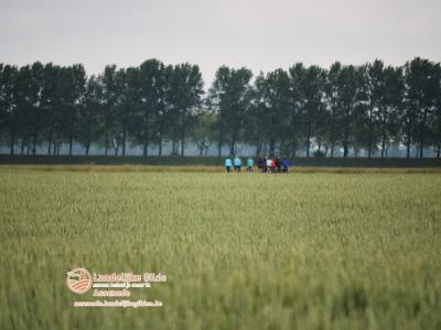 fotoDSC_1462