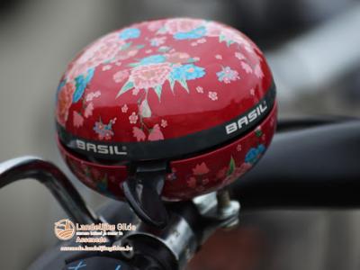 fotoDSC_1520