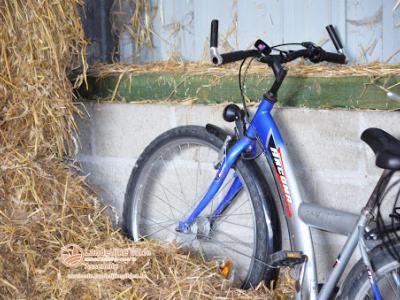 fotoDSC_1558