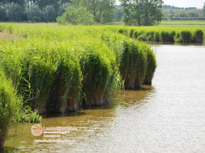 fotoDSC_1577