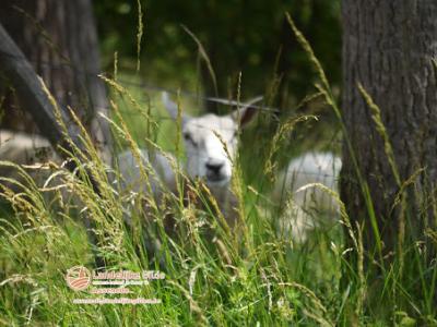 fotoDSC_1635