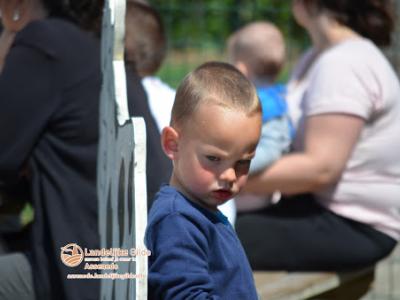 fotoDSC_1650